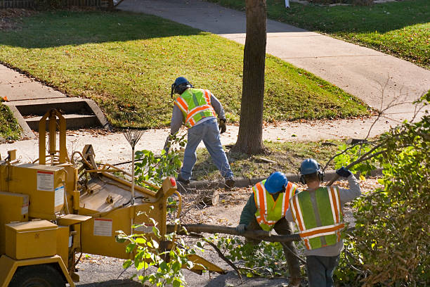 Best Lawn Watering Services  in North Liberty, IA